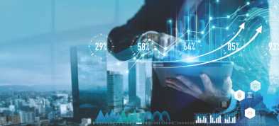 What does a technology advisor do?