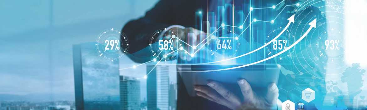 What does a technology advisor do?