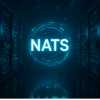 Faster, simpler, greener: DIVERSITY's shift to NATS